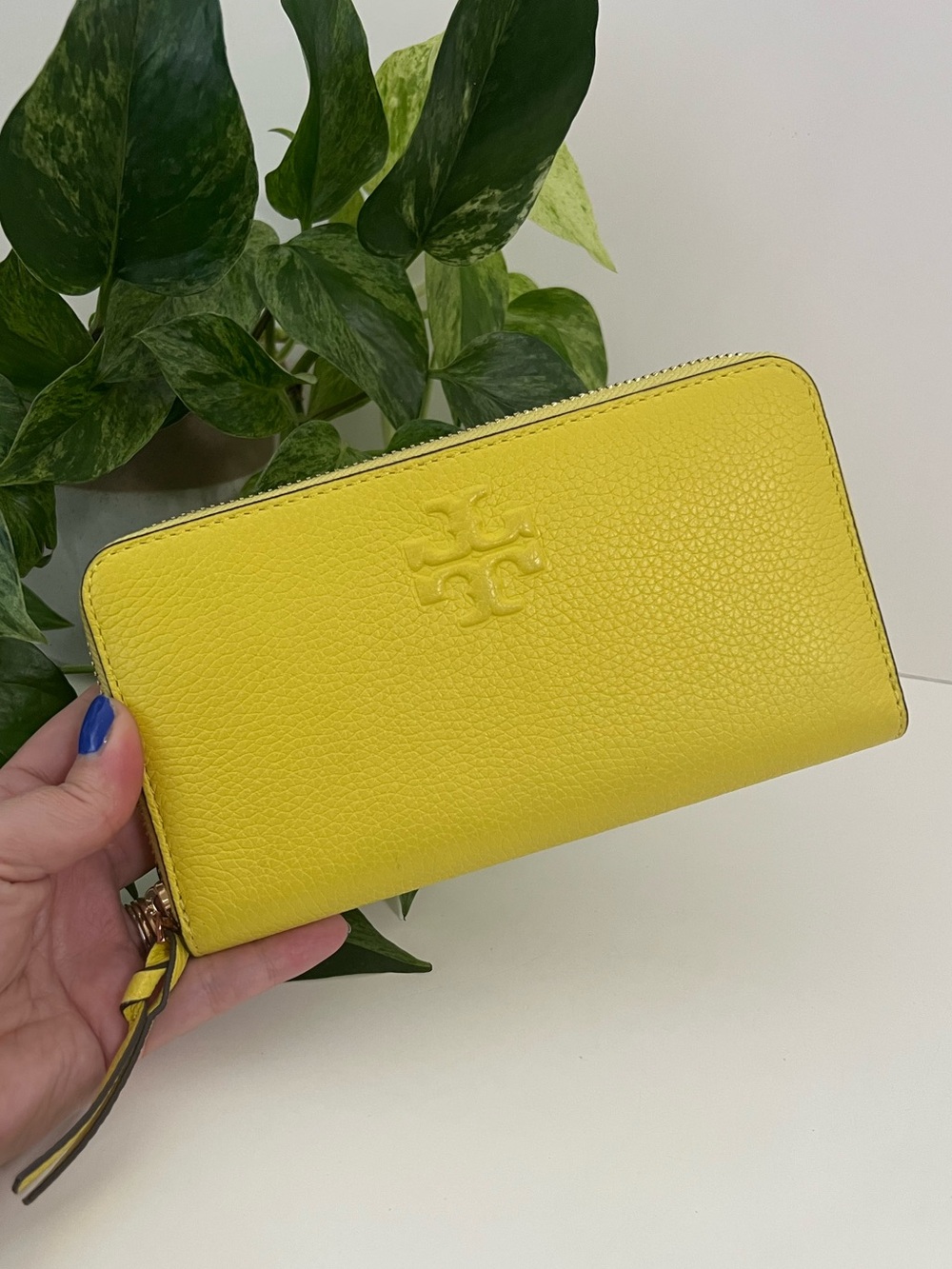 Like New Tory Burch Thea Continental Wallet & Card Case in Yellow